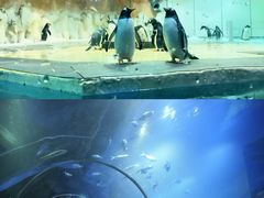 -威海华夏城景区