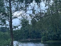 -上海共青森林公园