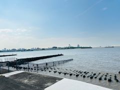 -上海滨江森林公园