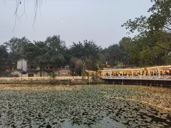 -巴山一绝烤全羊(三圣乡刘家花园店)