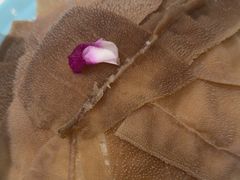 -蜀留香火锅(社会山店)