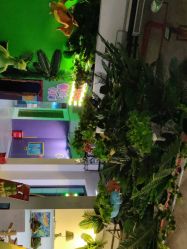 -恐龙探索乐园(磁器口店)