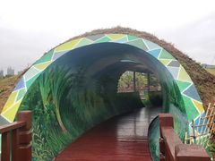 -福田红树林生态公园