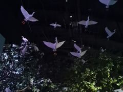 -中国湿地博物馆