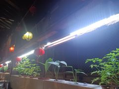 -望京一号·重庆江湖菜(工体店)