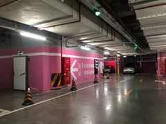 -白玉兰广场停车场