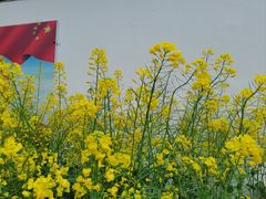 -苏州上方山国家森林公园