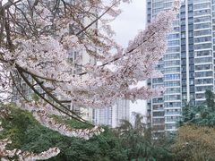 -红星桥(地铁站)