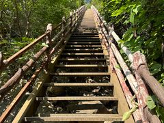 -香山公园