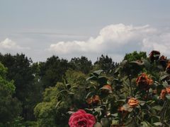 -南山植物园
