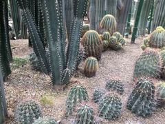 -南山植物园