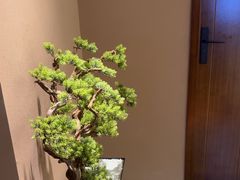 -端艾堂·SPA·艾灸(棕榈泉013店)