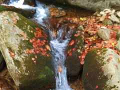 -丹东天桥沟景区