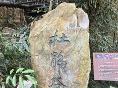 -福道