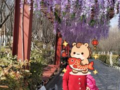 -西安汉城湖景区