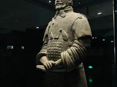 -秦始皇帝陵博物院(兵马俑)