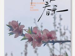 -观山湖公园