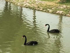 -南京医科大学(江宁校区)
