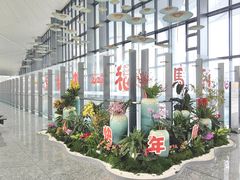 -杭州萧山国际机场