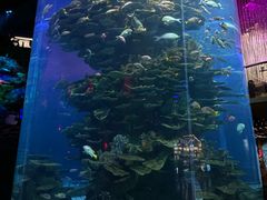 -泉城欧乐堡海洋极地世界