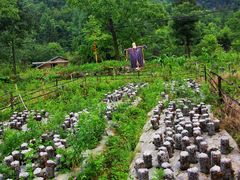 -鹿院坪生态旅游景区