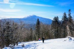 -大秃顶子山