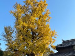 -狼山风景名胜区