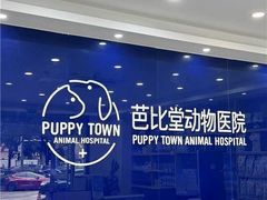 -芭比堂动物医院·24小时·眼科中心(深圳中心)