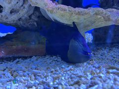-秦皇岛新澳海底世界