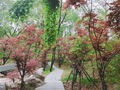 -大伊山景区