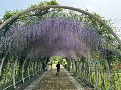 -同里国家湿地公园