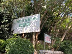 -上海滨江森林公园