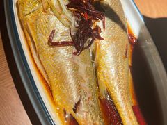 -波螺油子·海肠捞饭·青岛菜(银座店)
