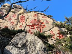 -崂山仰口游览区