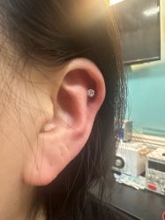 -众刺纹画·纹身·穿孔饰品·海娜定制