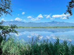 -野鸭湖国家湿地公园