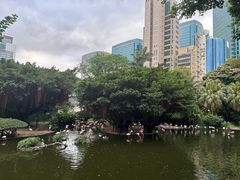 -九龙公园