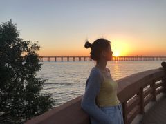 -宝安西湾红树林湿地公园