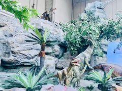 -国家自然博物馆