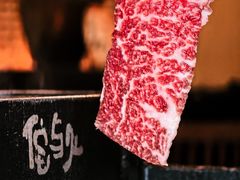 -侘与火 Wabi 侘寂烟火•锅物料理(大屯DT51店)