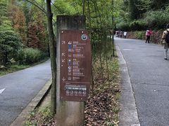 -都江堰中华大熊猫苑
