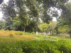 -范蠡湖公园