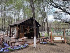 -长白岛森林公园