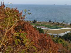 -野狸岛