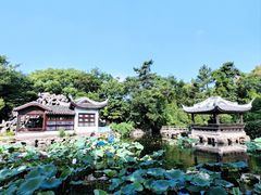 -无锡蠡湖国家湿地公园-蠡园