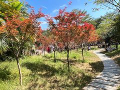 -广州市帽峰山景区