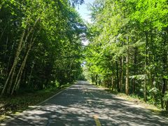 -五营红松林海景区