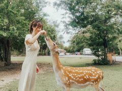 -清迈夜间动物园