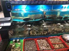 水产区-望海潮海鲜店 特色家常菜(在海一方店)