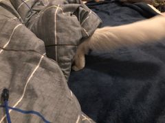 -非常粥道(天宝东街店)